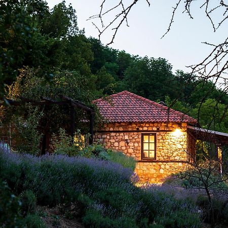 Ktima Bellou Agios Dimitrios  Екстериор снимка