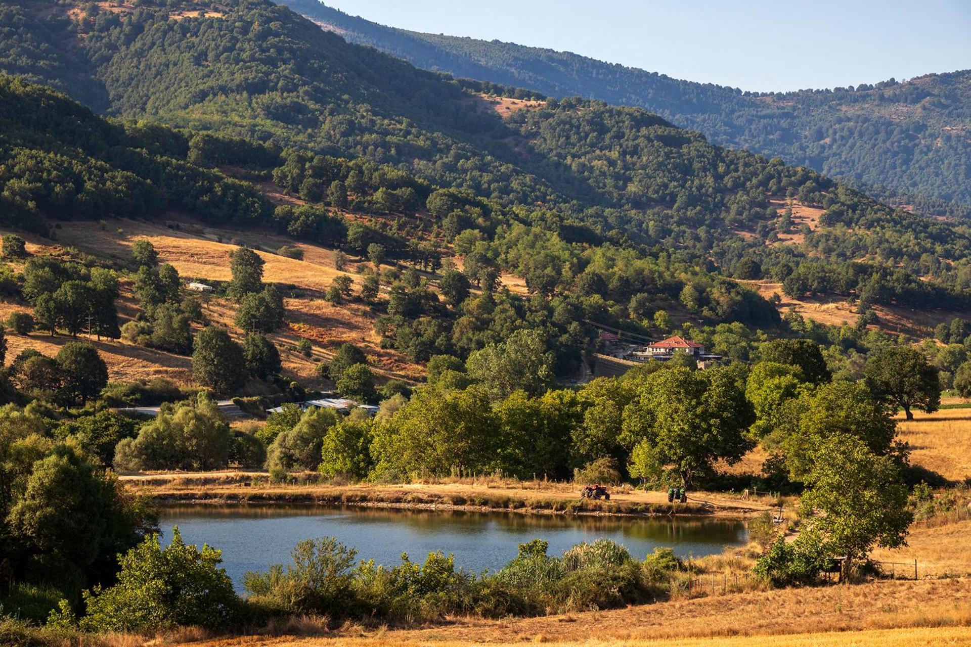 Ktima Bellou Agios Dimitrios  Екстериор снимка