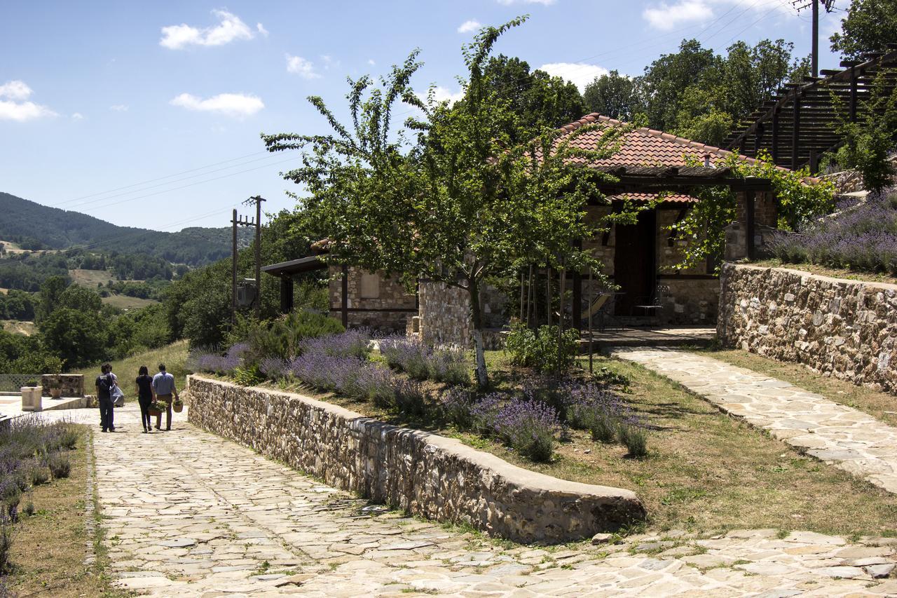 Ktima Bellou Agios Dimitrios  Екстериор снимка
